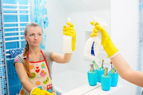 Carpet cleaning team using eco-friendly waste sorting in Earlscourt