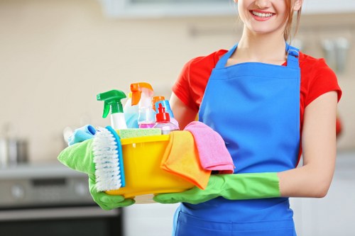 Professional upholstery cleaning process for a sofa in Earlscourt