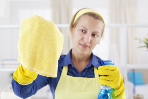 Move-out and deep cleaning support for an Earlscourt property