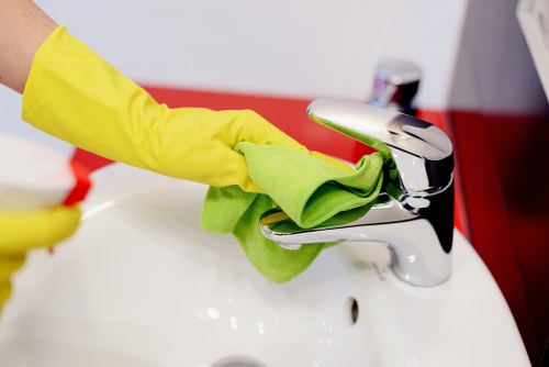 Professional window cleaning service for Earlscourt homes and shopfronts