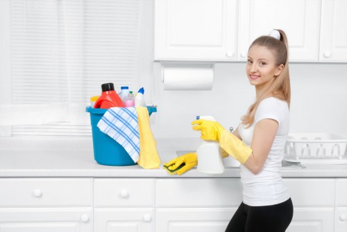 SSL encrypted payment process for carpet cleaning services