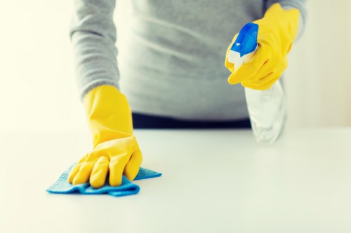 Cleaning supplies and tools used for pet odour treatment