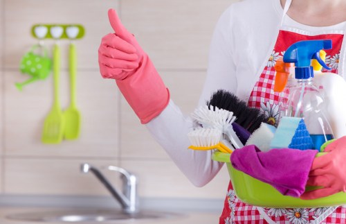 Professional oven deep cleaning in an Earlscourt home kitchen