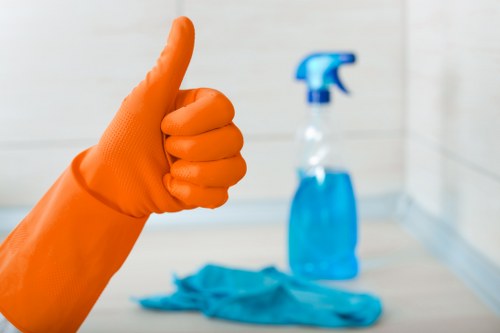 Professional sofa cleaning service for homes in Earlscourt