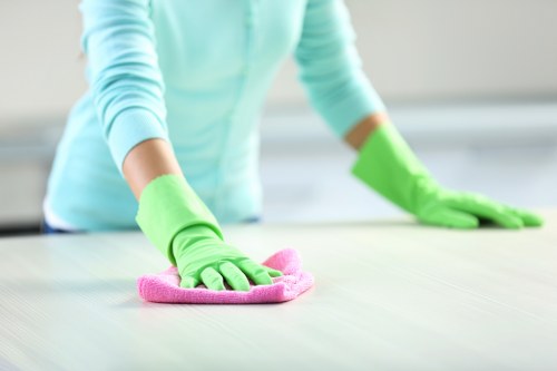 Local oven cleaning service for a family kitchen in Earlscourt