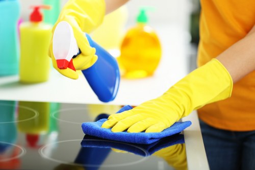 Local carpet cleaning setup for pet stain removal in Earlscourt