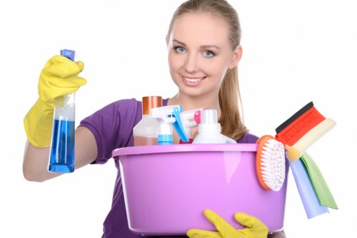 Routine kitchen and bathroom cleaning in Earlscourt