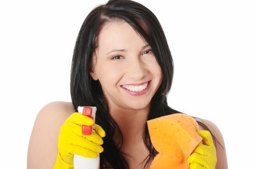 Carpet stain treatment and fibre cleaning in Earlscourt